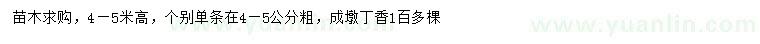 求購高4-5米丁香