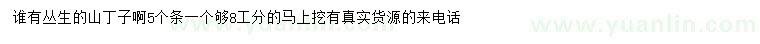 求購(gòu)8公分叢生山丁子