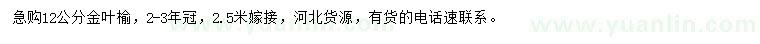 求購(gòu)12公分金葉榆