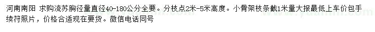 求購胸徑量直徑40-180公分流蘇