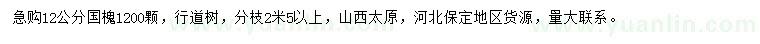 求購12公分國槐