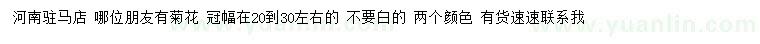 求購冠幅20-30公分左右菊花