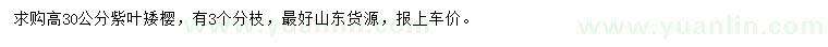 求購高30公分紫葉矮櫻