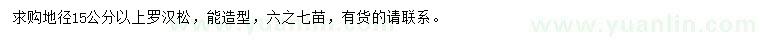 求購(gòu)地徑15公分以上羅漢松