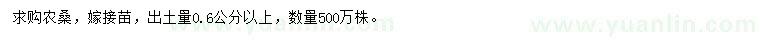 求購出土量0.6公分以上農(nóng)桑嫁接苗