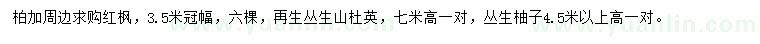 求購紅楓、叢生山杜英、叢生柚子
