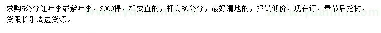 求購5公分紅葉李、紫葉李
