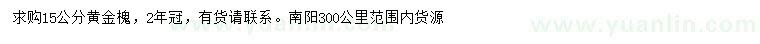 求購15公分黃金槐