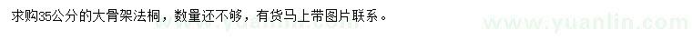 求購35公分大骨架法桐