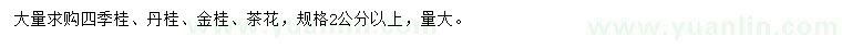 求購四季桂、丹桂、金桂等
