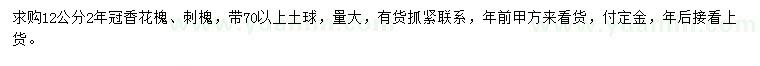 求購12公分香花槐、刺槐