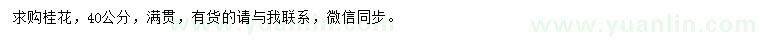 求購(gòu)40公分桂花
