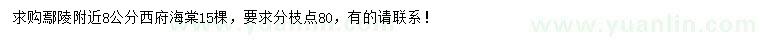 求購(gòu)8公分西府海棠
