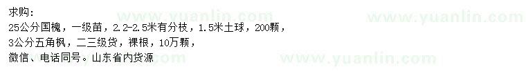 求購25公分國槐、3公分五角楓