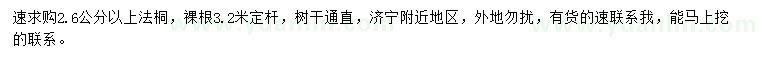 求購(gòu)2.6公分以上法桐