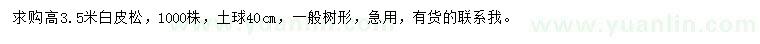 求購高3.5米白皮松