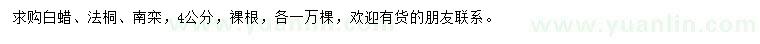 求購白蠟、法桐、南欒