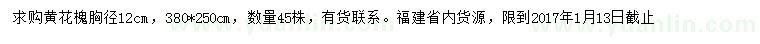 求購(gòu)胸徑12公分黃花槐