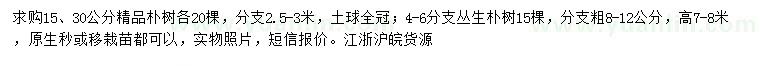 求購15、30公分精品樸樹(shù)、高7-8米叢生樸樹(shù)