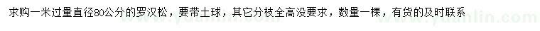 求購1米量80公分羅漢松