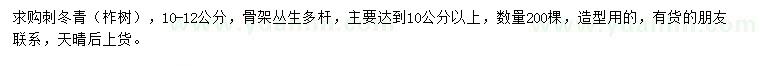 求購10公分以上叢生刺冬青