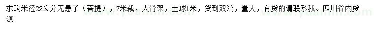 求購米徑22公分無患子（菩提）