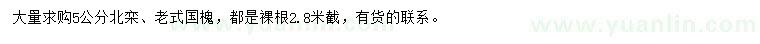 求購(gòu)5公分北欒、老式國(guó)槐