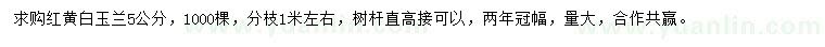 求購5公分紅黃白玉蘭
