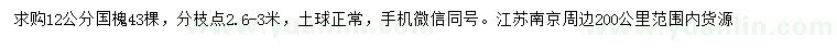 求購12公分國槐