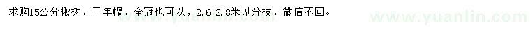 求購(gòu)15公分楸樹(shù)