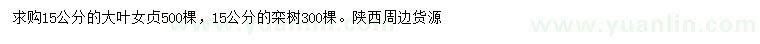 求購15公分大葉女貞、欒樹