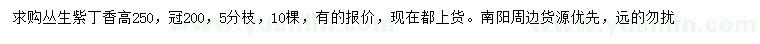 求購高250公分叢生紫丁香