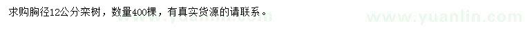 求購(gòu)胸徑12公分欒樹