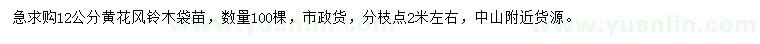 求購12公分黃花風(fēng)鈴木