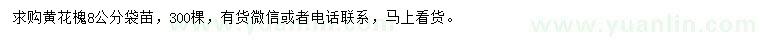 求購8公分黃花槐
