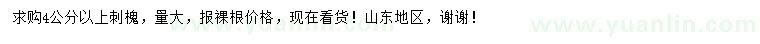 求購4公分以上刺槐