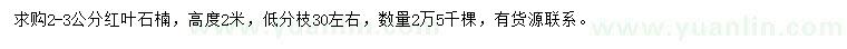 求購2-3公分紅葉石楠