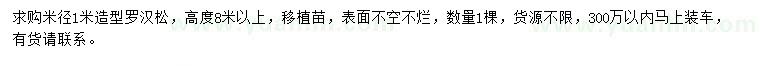 求購米徑1米造型羅漢松