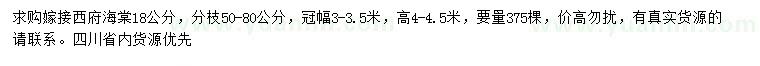 求購18公分西府海棠
