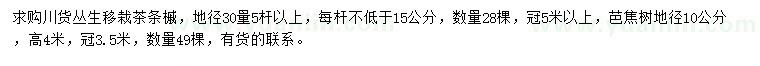 求購地徑30量5桿以上茶條槭、地徑10公分芭焦樹