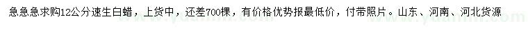 求購12公分速生白蠟