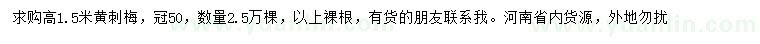 求購高1.5米黃刺梅