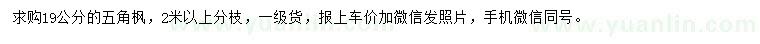 求購(gòu)19公分五角楓