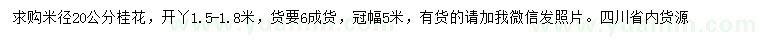 求購米徑20公分桂花