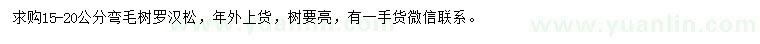 求購15-20公分羅漢松