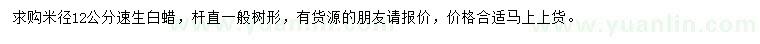 求購米徑12公分速生白蠟