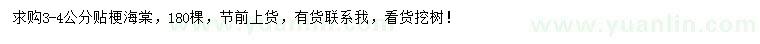 求購3-4公分貼梗海棠