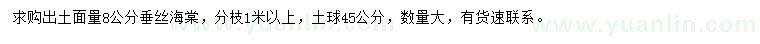 求購出土面量8公分垂絲海棠