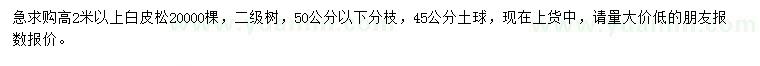 求購高2米以上白皮松