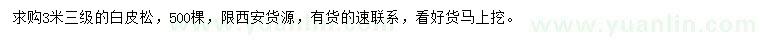 求購(gòu)3米白皮松